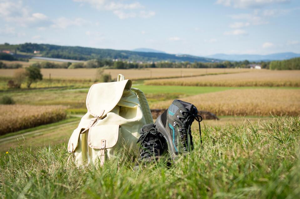 Hiking trails Bad Blumau - Impression #1 | © Kurkommission Bad Blumau