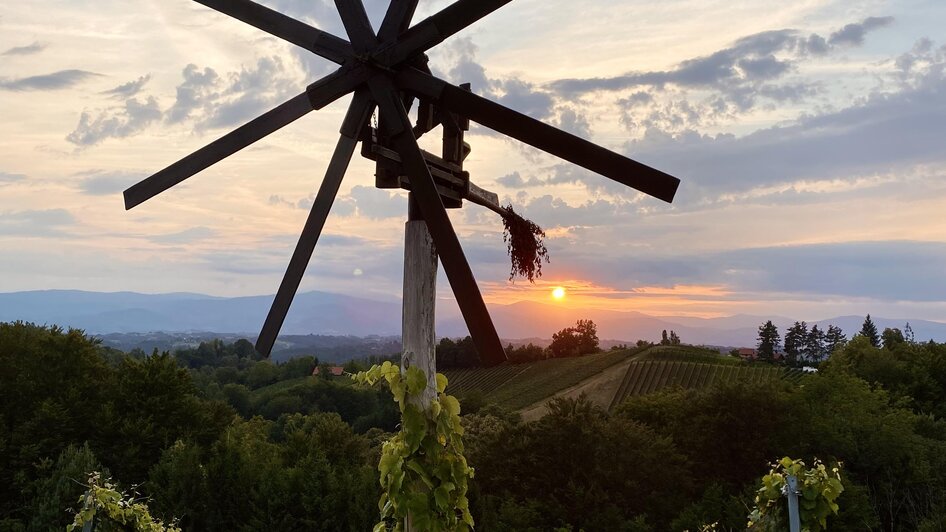 Weingut Klapotetzhof Silberschneider - Impression #2.74