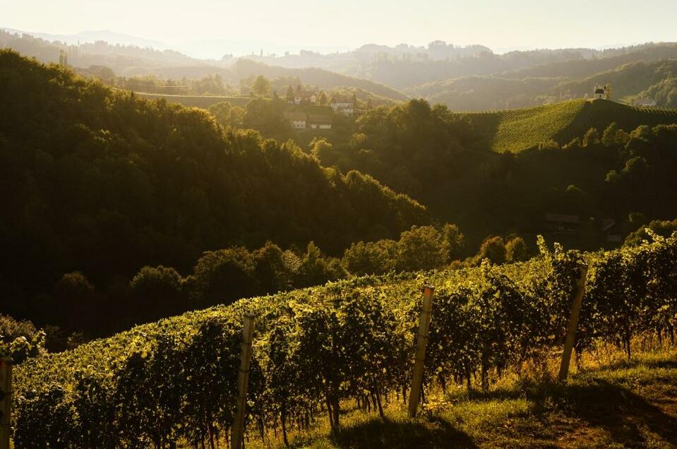 Weingut NeueHeimat - Impression #1 | © Martin Stöbich