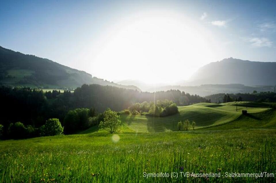 Turmöl Tankstelle - Impression #1 | © TVB Ausseerland - Salzkammergut_Tom Lamm