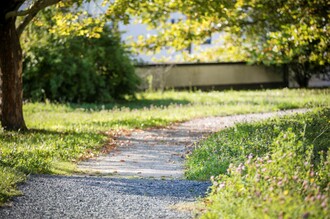 Path of the wild fruit in Bad Blumau 