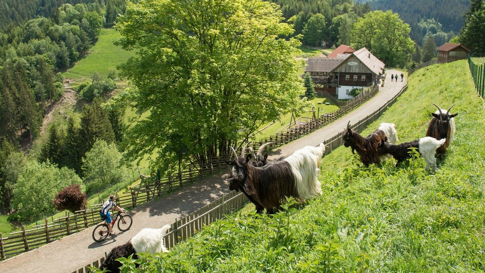 Einkehr Prieselbauer | © TV Kapfenberg