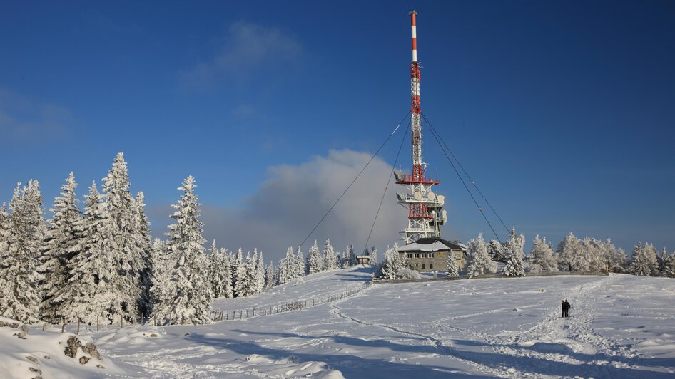 Guided hike: Snowshoe hike on the Schöckl - Impressionen #2.1