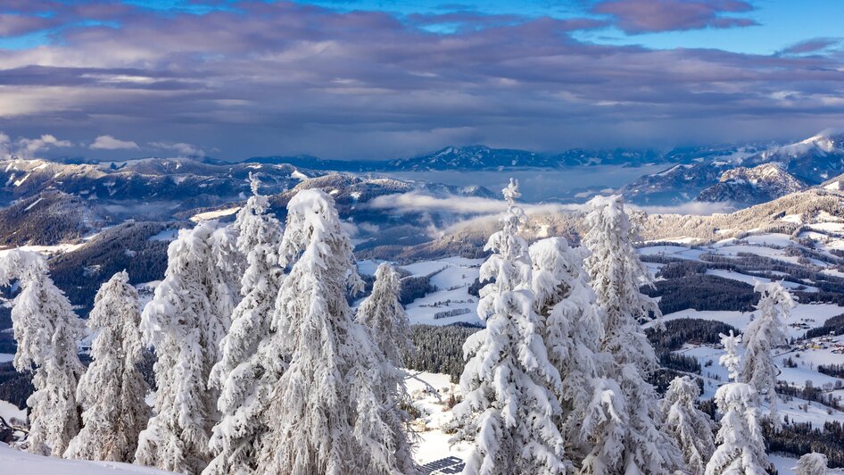 Guided hike: Snowshoe hike on the Schöckl - Impressionen #2.3