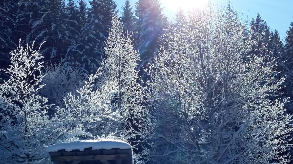 Blaa Alm, Altaussee, Winterfrische | © Petra Kirchschlager