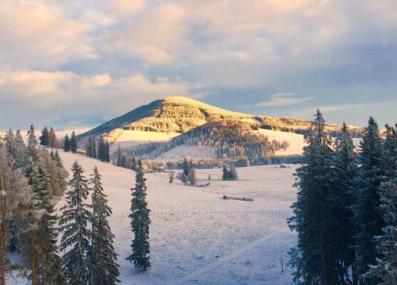 Almwellness Hotel Pierer_Winterlandschaft Teichalm | © Almwellness Hotel Pierer / Harald Eisenberger