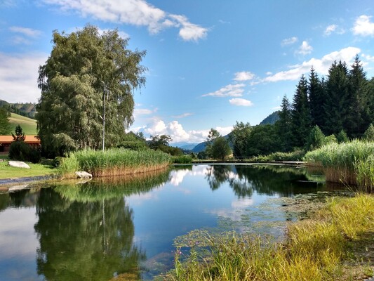 Grasseggerhaus-Landschaft-Murtal-Steiermark | © Grasseggerhaus