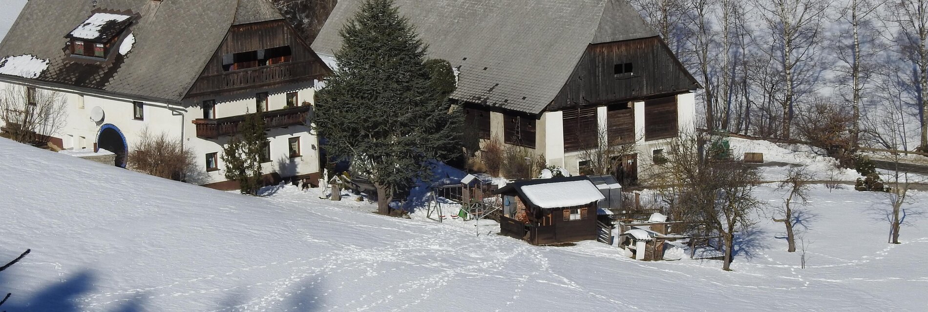 BauernhofÖfflvlg.Streibl-Winter-Murtal-Steiermark