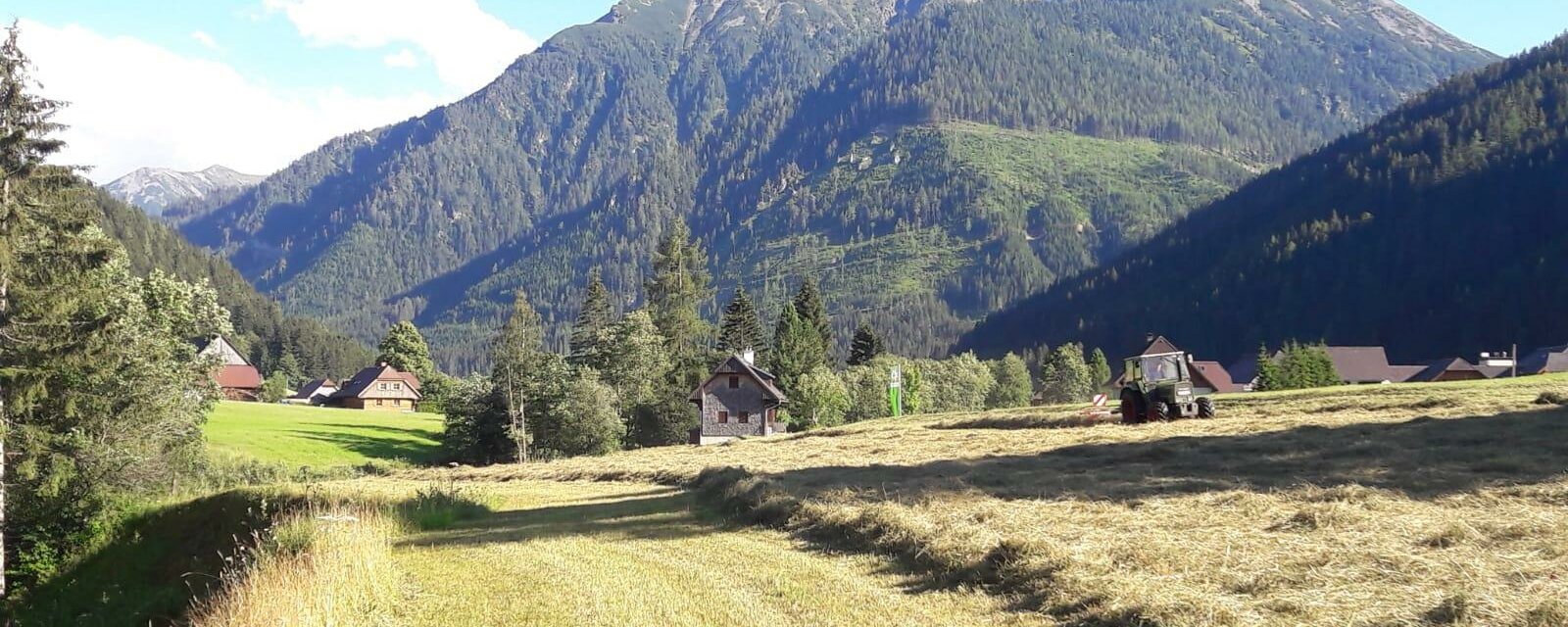 BauernhofStocker-Heu-Murtal-Steiermark