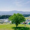 Bild von Stellplatz - 5 Nächte | © Camping PINK Event GmbH