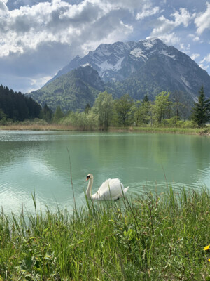 Grimming mit Teich im Vordergrund