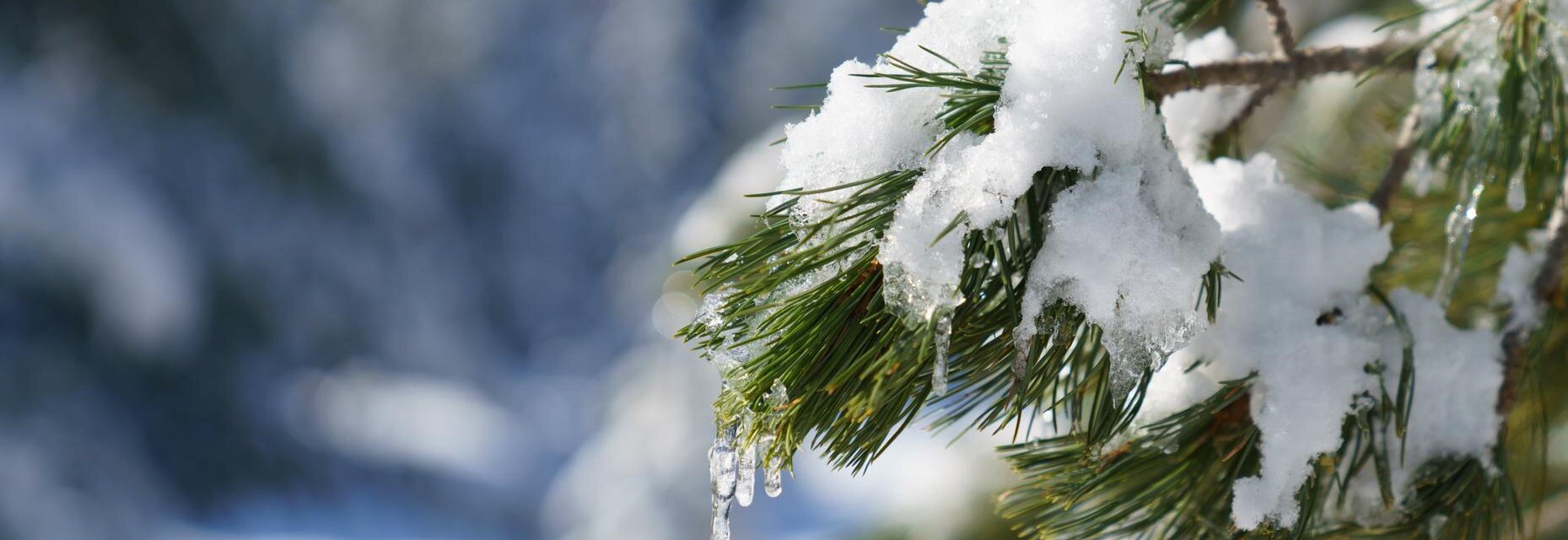 Mitten in der Natur