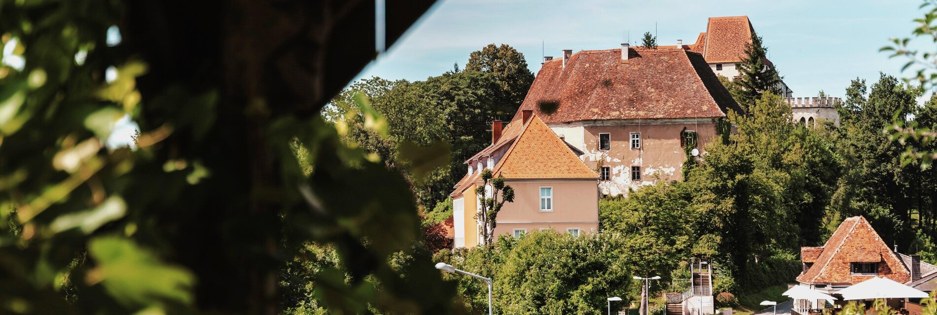 Blick aus der Weinlaube zum Schloss Seggau