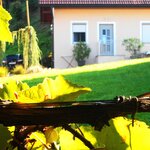 Bild von FW Zweisamkeit mit Weinlaube | © wimmer