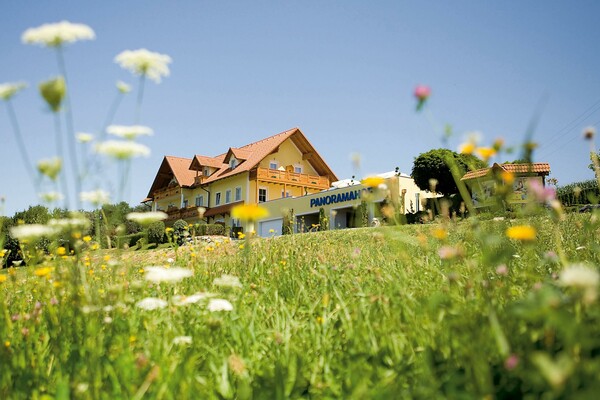 Haus mit Blumenwiese Zuschnitt