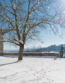 Hotel Schloss Seggau - Glockenwiese Winter | © Kristoferitsch | Kristoferitsch | © Kristoferitsch