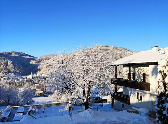 Kleinhofers Himbeernest_Im Winter_Oststeiermark | © Kleinhofer-Schmidhofer