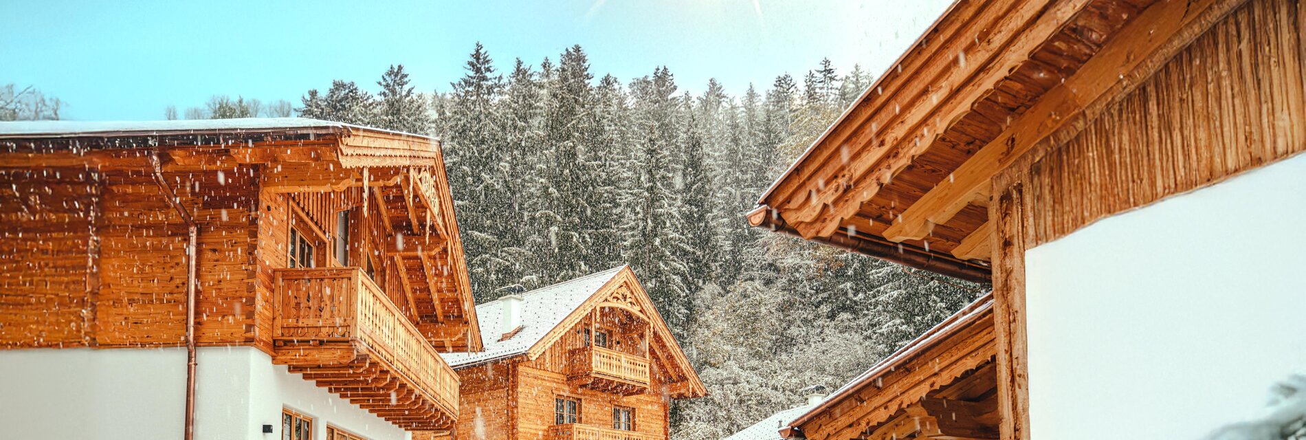 Chalets am Gradenbach im Winter