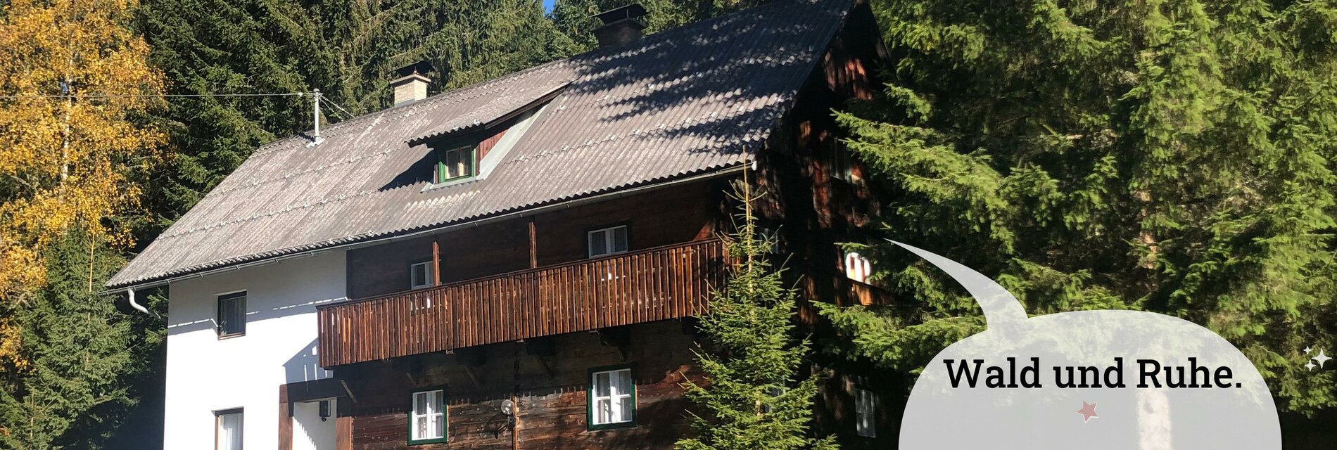 Nockstern Hütte Wald und Ruhe