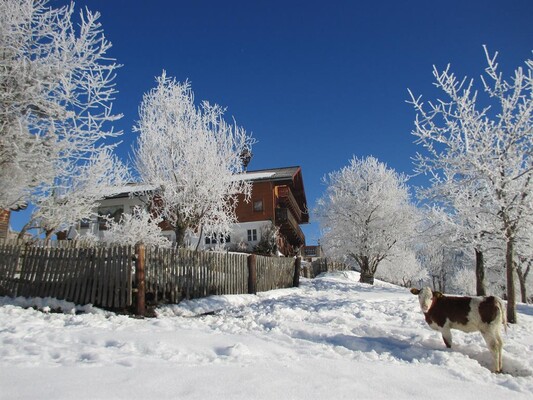 Winterzauber