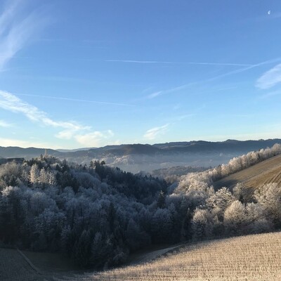 Weingut Wieser Winterlandschaft | © Weingut Wieser | Nadine Wieser