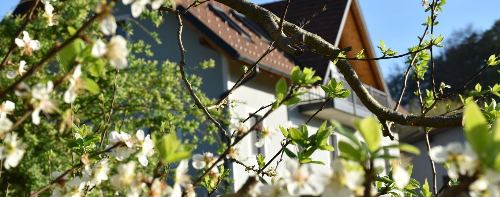 Zotter Hof Außen