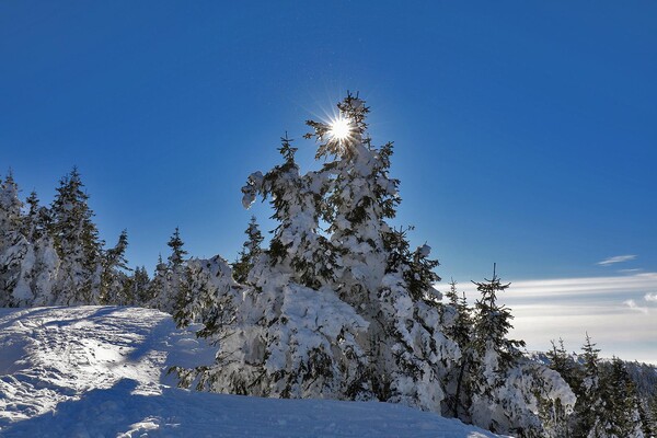 winterlandschaft-hiller | © Rothwangl