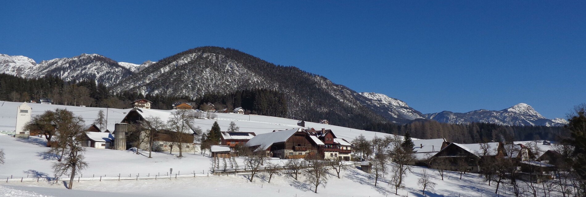 Moosbruggerhof im Winter