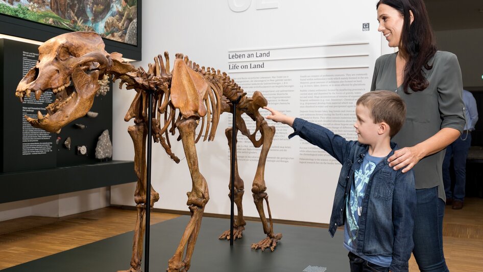 Naturkundemusem im Grazer Joanneumsviertel