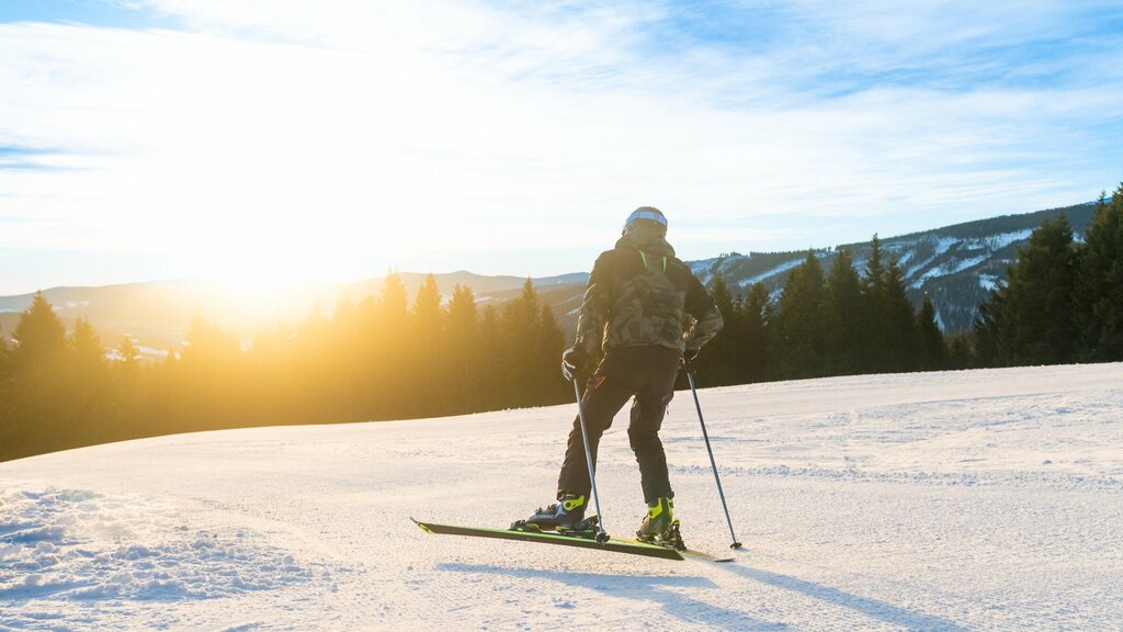 Salzstiegl ski resort | steiermark.com