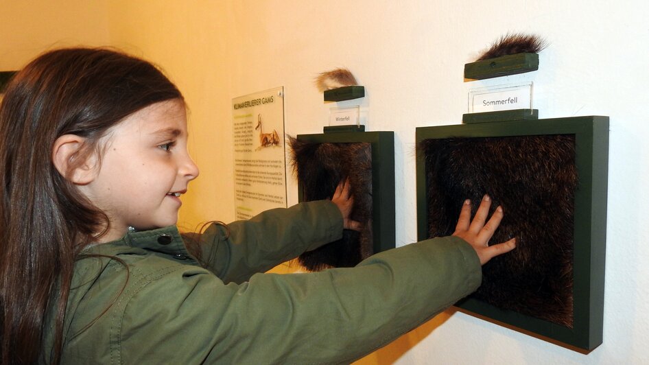 Museum Schloss Großsölk - Impressionen #2.1