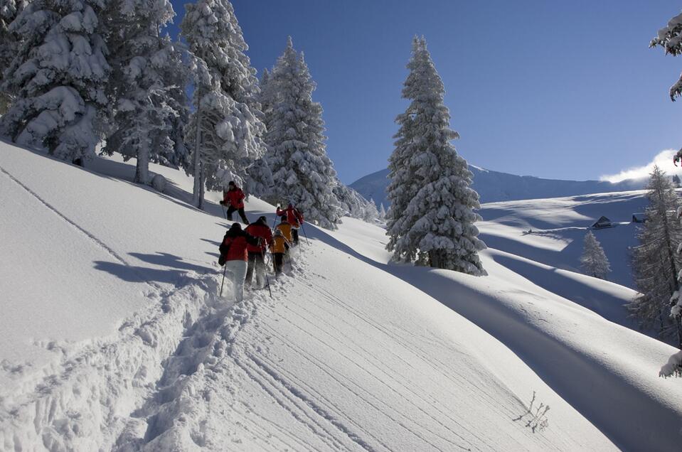 Schneeschuhwandern in Schladming Dachstein  - Impression #1