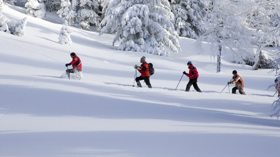 Schneeschuhwandern in Schladming Dachstein  - Impressionen #2.1