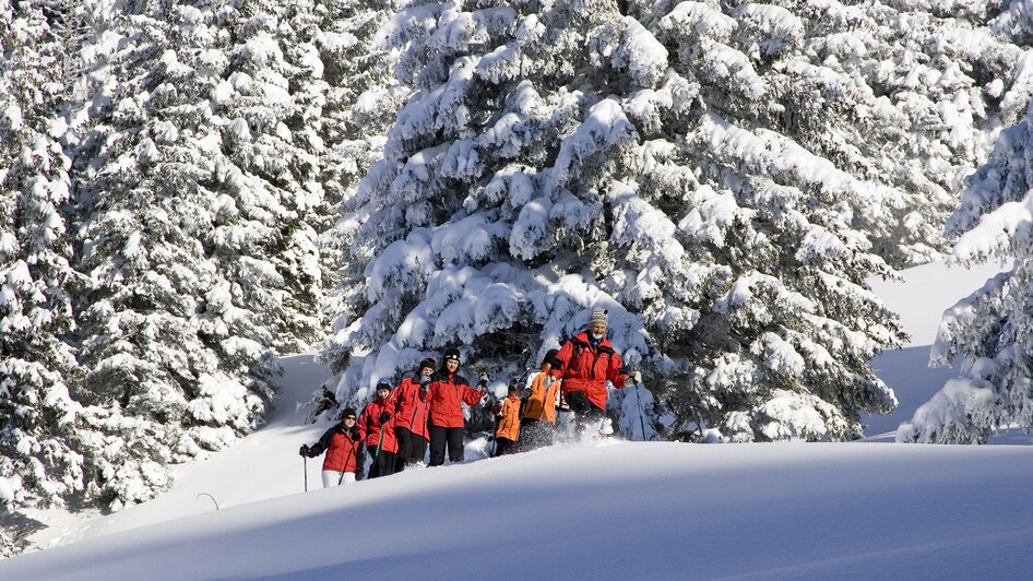 Schneeschuhwandern in Schladming Dachstein  - Impressionen #2.2