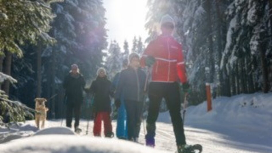 Winterwochenprogramm Alpincenter Dachstein Ski & Langlaufschule Ramsau  - Impressionen #2.4 | © Alpincenter