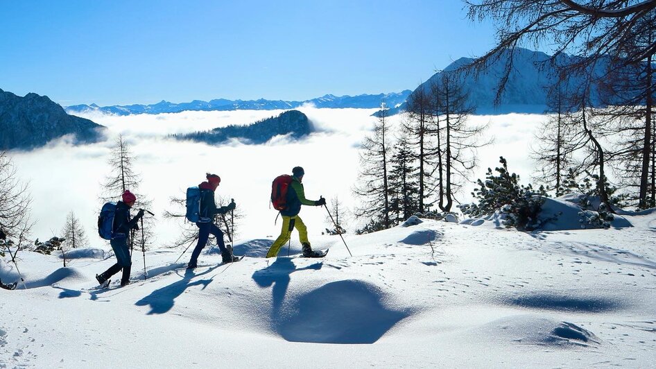 Winterwochenprogramm Berg- und Abenteuerschule - Impressionen #2.10