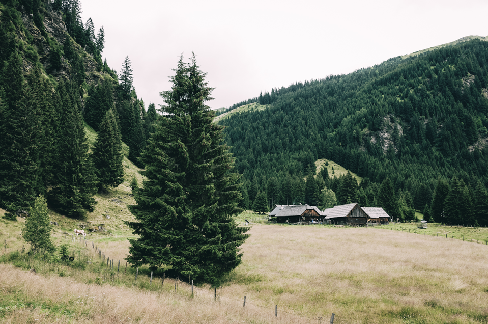 Weichboldhütte - Impression #1