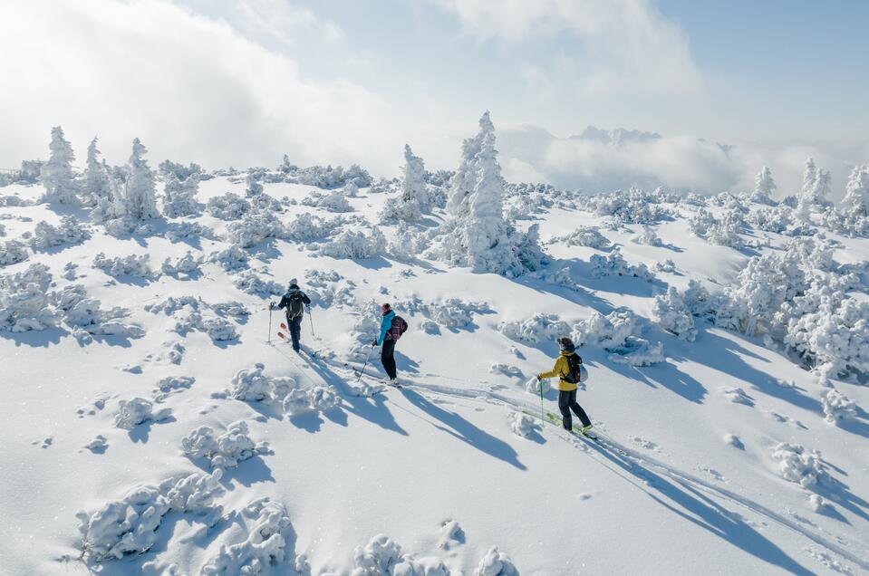 Die Bergstation Alpin & Freeride Center - Impression #1 | © Salzkammergut/Katrin Kerschbaumer