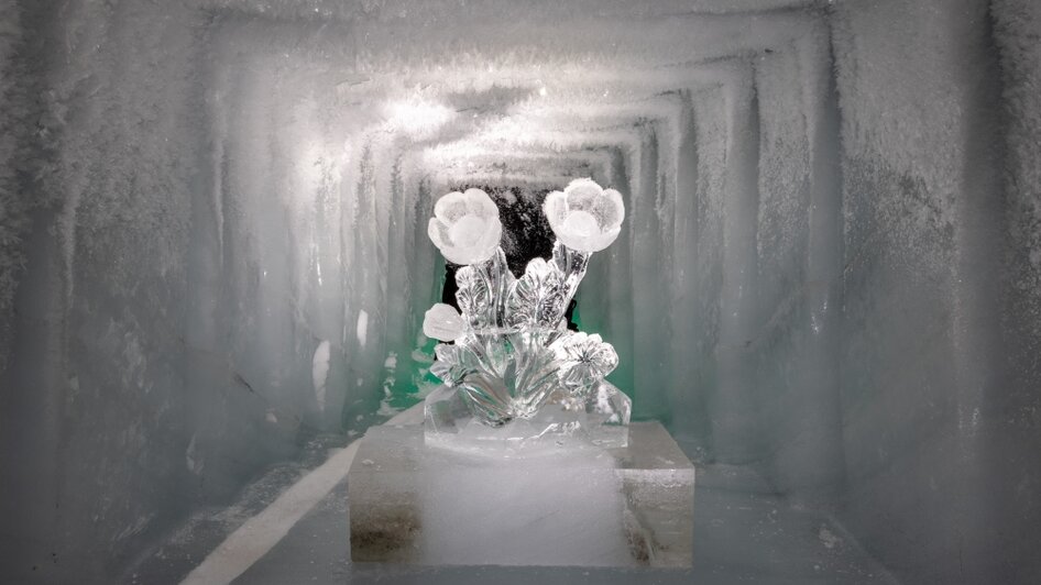 Erforsche den Gletscher - Dachstein Eispalast