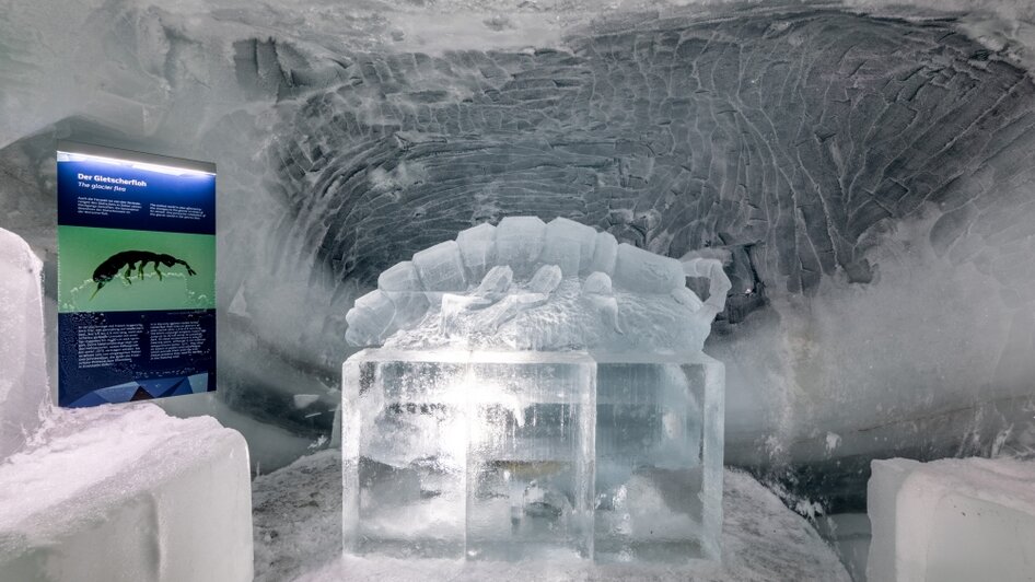 Erforsche den Gletscher - Dachstein Eispalast | © Harald Steiner