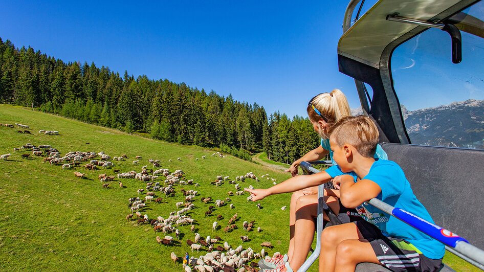 Hauser Kaibling 8-seater gondola lift and 8-seater chairlift Kaiblinggrat - Impression #2.9