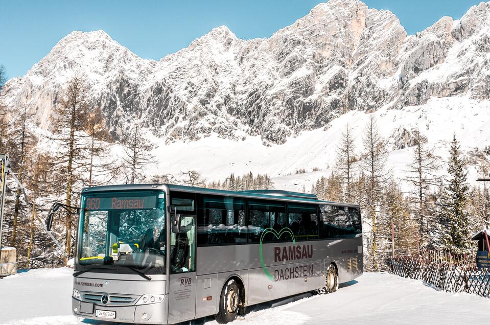 Linienbusse Ramsau am Dachstein  - Impression #1 | © Photo-Austria.at