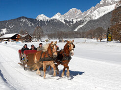 Horse Drawn Sleigh and Carriage Rides Zechmannhof in Ramsau am